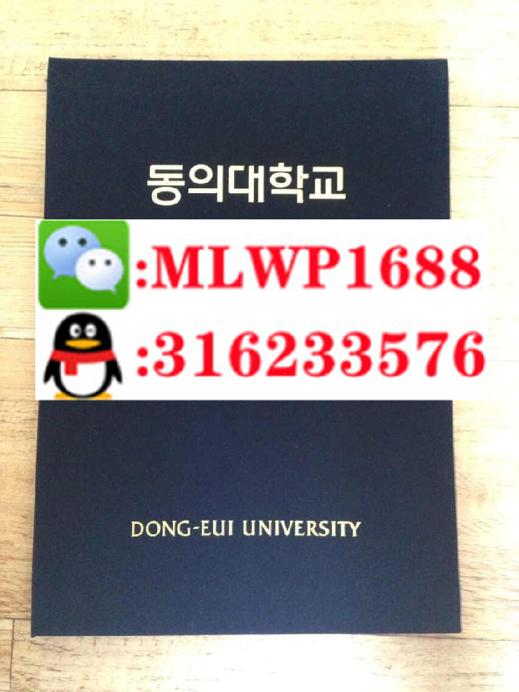 东义大学 Dong-A University 毕业证模版 成绩单样本